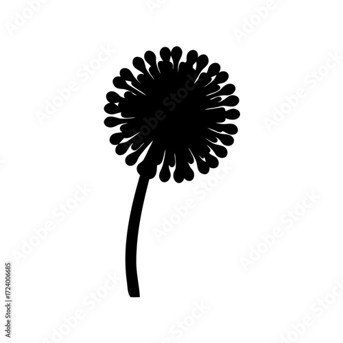 Silhouette of a Dandelion Flower Head with Stem on White Background