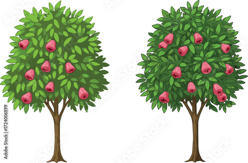 Red apple fruit trees illustration comparing fruit count and canopy density for botanical, nature, garden, agriculture, and educational design