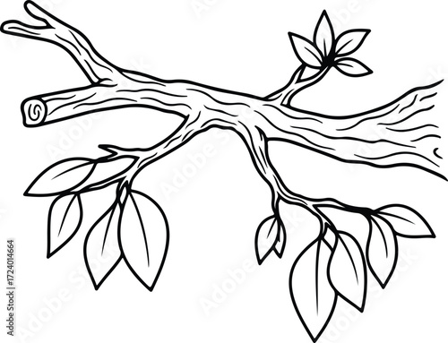 Vector tree branch with leaves black and white silhouette design