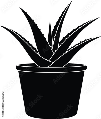 Scalable vector illustration of an aloe vera plant in a pot for graphic design projects