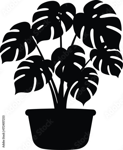 Monstera deliciosa indoor plant vector graphic scalable eps illustration