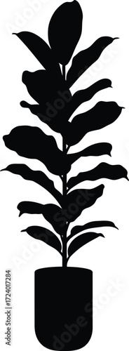 Scalable vector illustration of a tall fiddle leaf fig plant in a pot