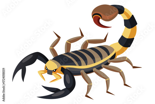 Striking scorpion with dark pincers arches striped tail in on white