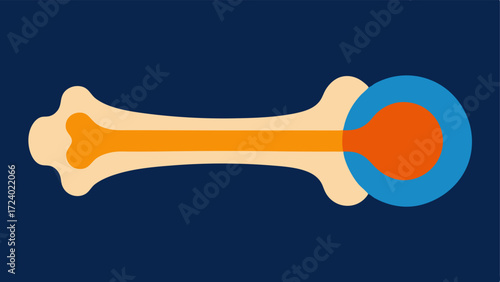 Bone Density Visualization An MRI focus on the skeletal structure with strong bones highlighted in light blue and weaker areas shown in dark orange pertaining to longevity through