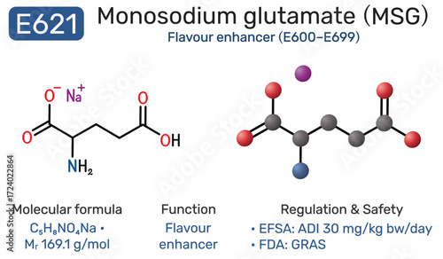 E621 monosodium glutamate MSG molecule. Flavour enhancer food additive. Structural formula and 3D model vector illustration