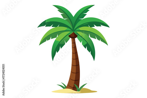 Lush green fronds adorn a tall palm tree situated upon sandy ground