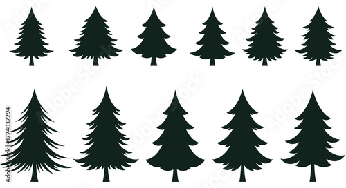 A collection of various shaped evergreen trees in black silhouette