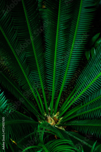 Exploring the vibrant greenery of Denmark's botanical gardens in a peaceful setting