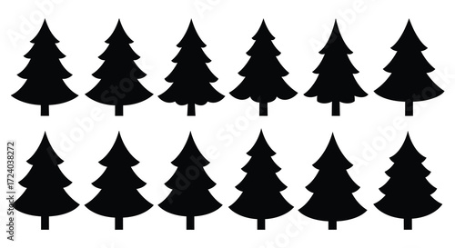 A collection of dark evergreen trees presented as a striking silhouette