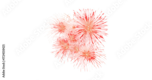 An isolated red fireworks blossom against a white background, resembling a tropical fruit
