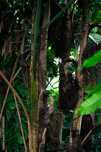 Exploring the dense vegetation of Denmark with unique trees and lush greenery surrounding a serene setting