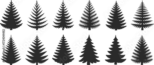 Evergreen tree silhouette illustration, twelve stylized conifer shapes with varied branch patterns black white layout, forest vector clipart artwork design