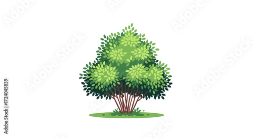 A lush green bush with delicate leaves and a dense bushy canopy sitting on a patch of vibrant green grass.