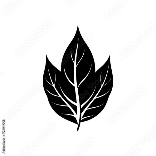 Three lobed leaf in black on transparent background silhouette
