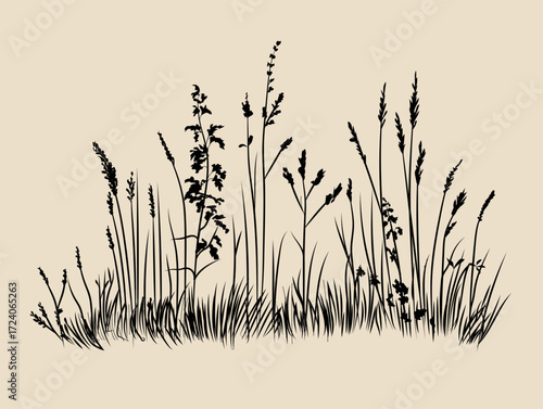 wildflower meadow with tall grasses and small flowers, vintage style, flat vector silhoutte, rustic minimal vector illustration