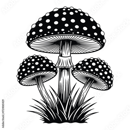 Vector art of three black and white mushrooms isolated on white background