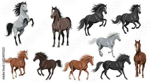 A variety of running horses in different colors and poses.