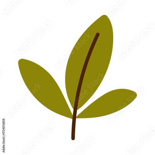 Vector green pistachio leaf isolated on white. Organic botanical illustration for ingredients, bakery, confectionery, healthy food design, premium branding.