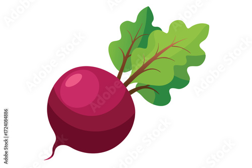 Cartoon beet has vibrant pink color and green leaves on a white backdrop
