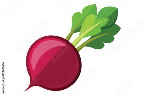 Fresh radish with vibrant green leaves is displayed against a white background