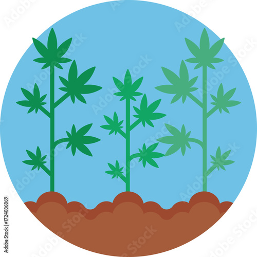 Represents the growth and care of cannabis plants.