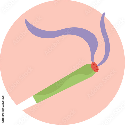 Rolled cannabis cigarette commonly used for smoking marijuana.