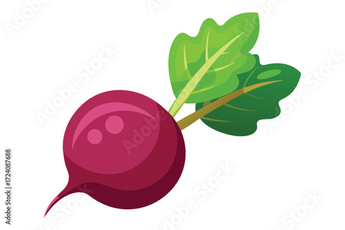 Fresh beetroot with green leaves shows style, providing a vibrant garden image