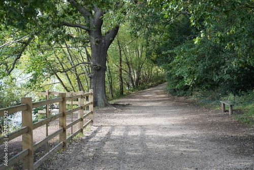 Podobny obraz