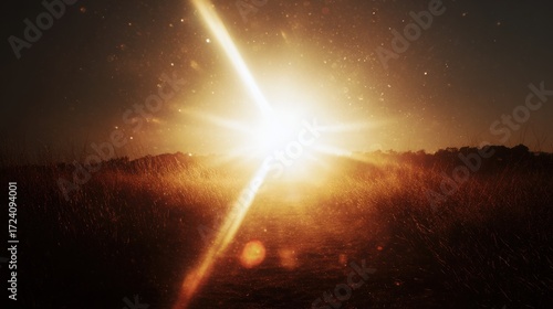 Sunrise through golden field, sunbeams