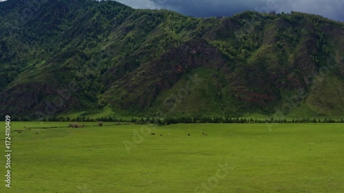 Aerial view of the field under the mountain