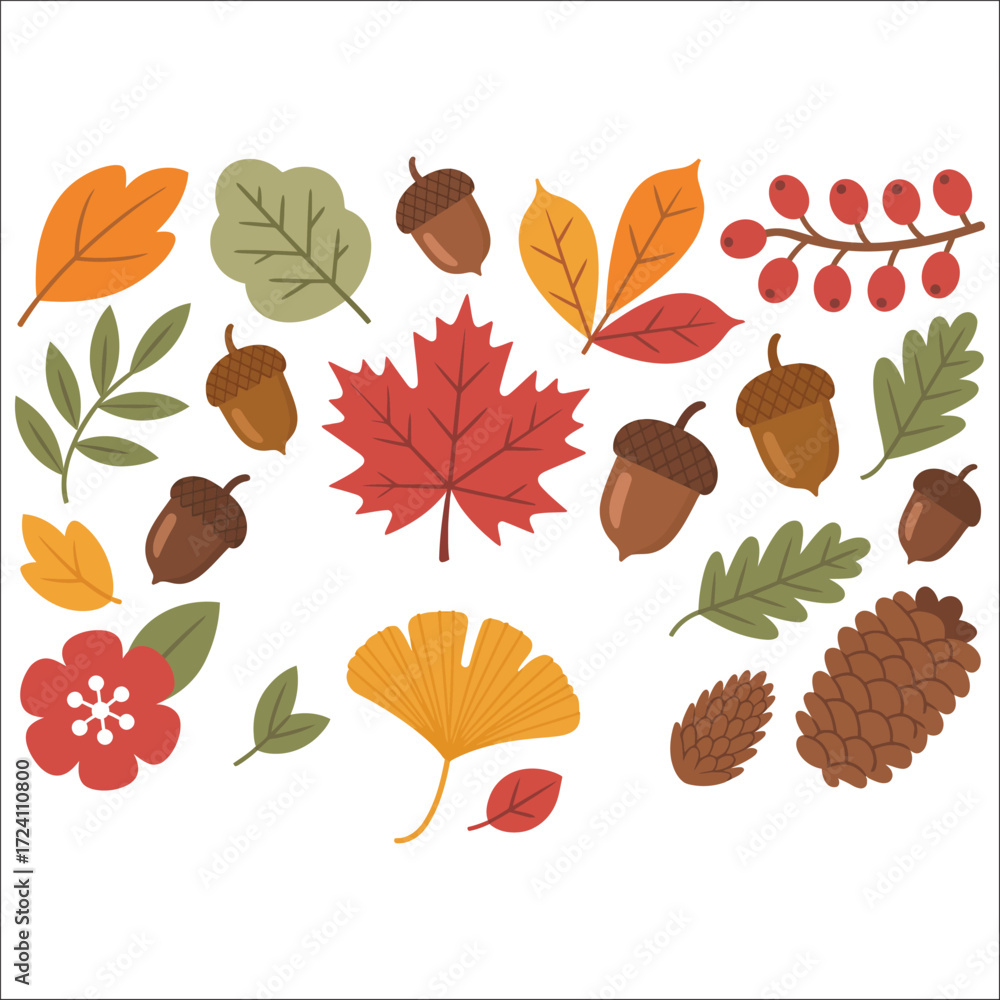 Fototapeta premium Autumn leaves and acorns, collection of fall elements, seasonal illustrations, foliage graphics, harvest vector set, nature design elements, autumn pattern, leaf icons