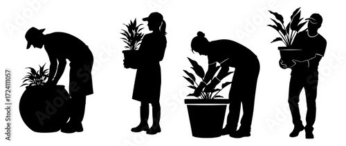Vector art of silhouettes of people potting and caring for houseplants, showcasing indoor gardening and plant care