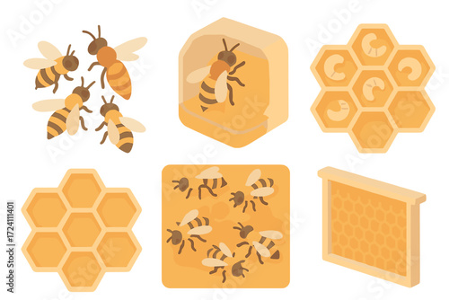 Isometric Beehive Scene. Isometric vector illustration set hive honey bee queen: queen bee with attendants, hive interior view,