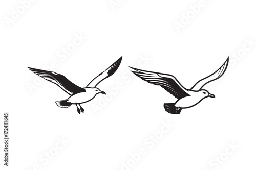 Two seagulls flying together in a sketchy style
