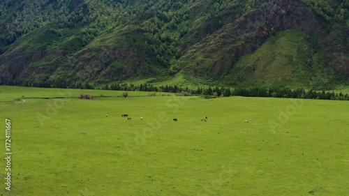 Aerial view of the field under the mountain