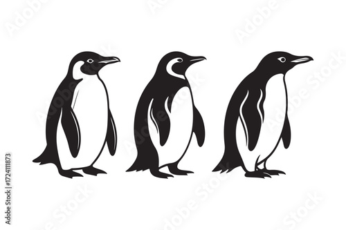 Three black and white penguins standing together in a row