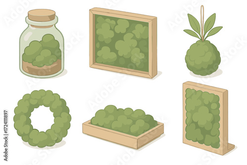Moss Decor Collection. Isometric vector illustration set Moss decor & crafts: moss terrarium jar, moss wall frame, moss kokedama
