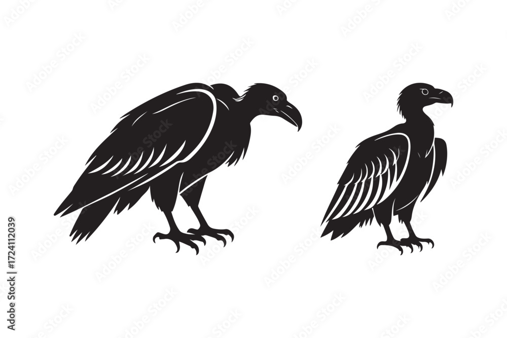 Fototapeta premium Two black silhouette vultures standing against white background