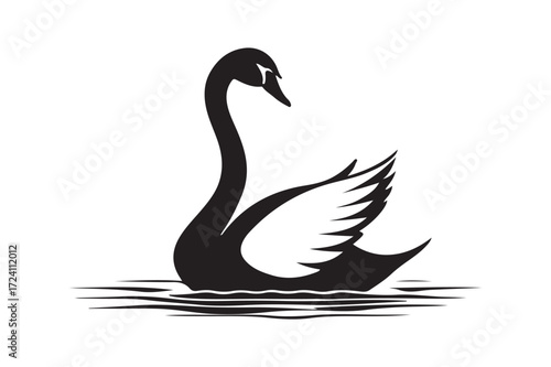 Elegant black swan silhouette on water