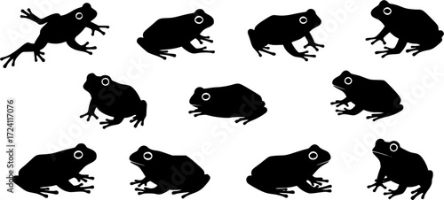 set of frogs, black and white frogs, silhouette of frogs, editable stroke, vector art ready for your brand.
