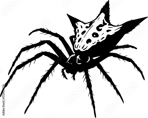 Spiny spider silhouette vector art