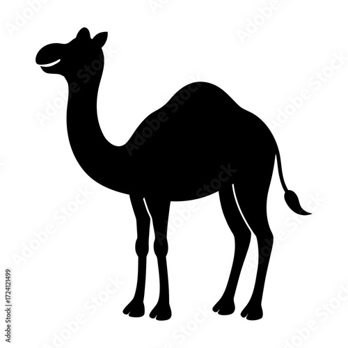 camel in the desert
