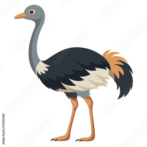 Illustration of an ostrich cartoon vector image of a large flightless bird for educational use and design projects