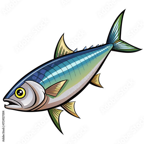 Illustration of a mackerel fish species with fins and tail for seafood market and fishing guide