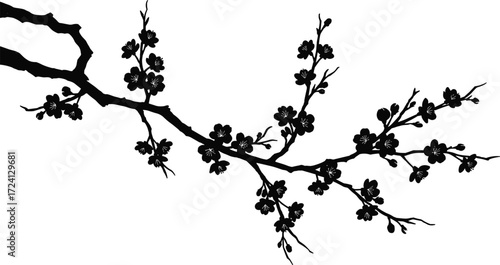 Cherry blossom branch silhouette, floral tree art, black and white flower design, spring botanical illustration, Japanese sakura bloom vector