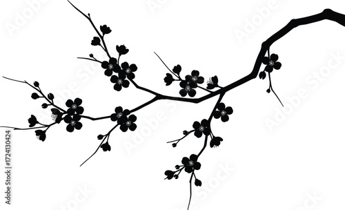 Cherry blossom tree silhouette, floral branch artwork, black flower illustration, spring botanical design, Japanese sakura bloom, nature clipart vector