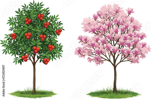 Fruit and blossom trees, reddish orange spiky fruits, pink flower foliage, seasonal nature illustration, botanical clipart design, garden vector composition