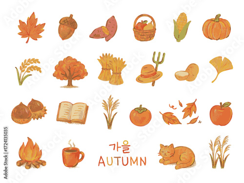 Autumn color pencil icon
