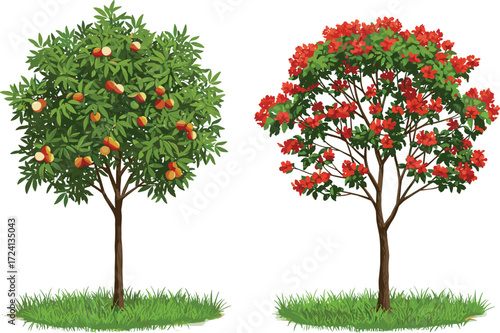 Peach and red blossom trees, fruit and flower illustration, seasonal nature design, botanical clipart artwork, garden vector composition, plant diversity