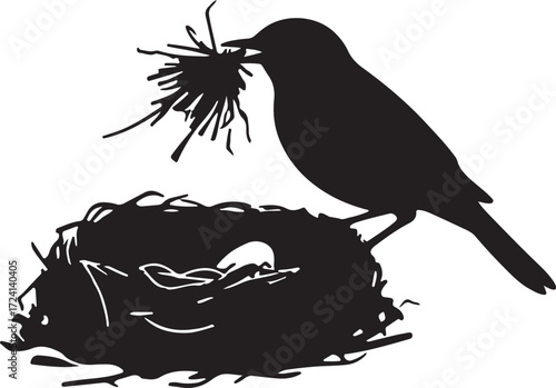 Bird building nest with egg nature